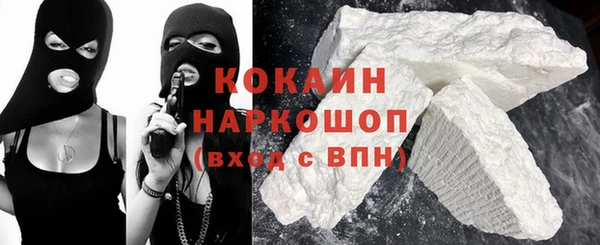 ГАЛЛЮЦИНОГЕННЫЕ ГРИБЫ Бородино