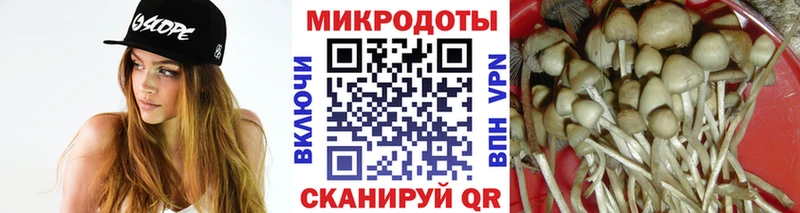 наркота  Барыш  Галлюциногенные грибы мухоморы 